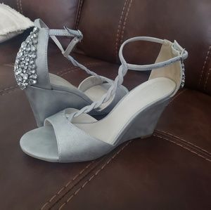 Silver Wedges